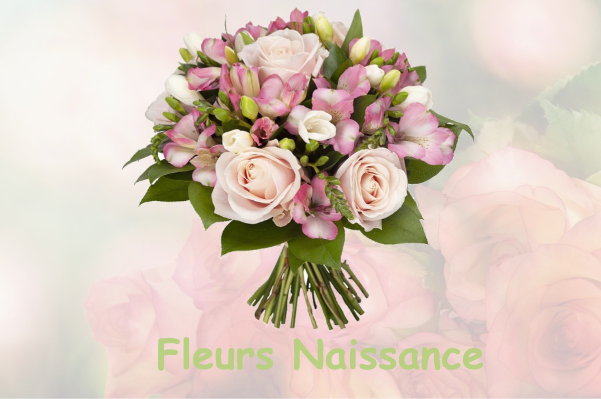 fleurs naissance CASTELGINEST