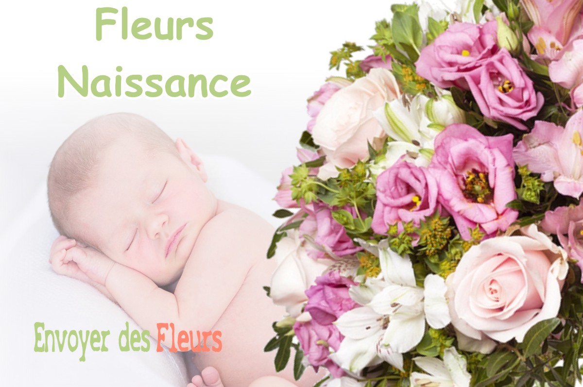 lIVRAISON FLEURS NAISSANCE à CASTELGINEST