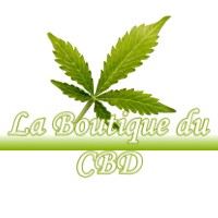 LA BOUTIQUE DU CBD CASTELGINEST 